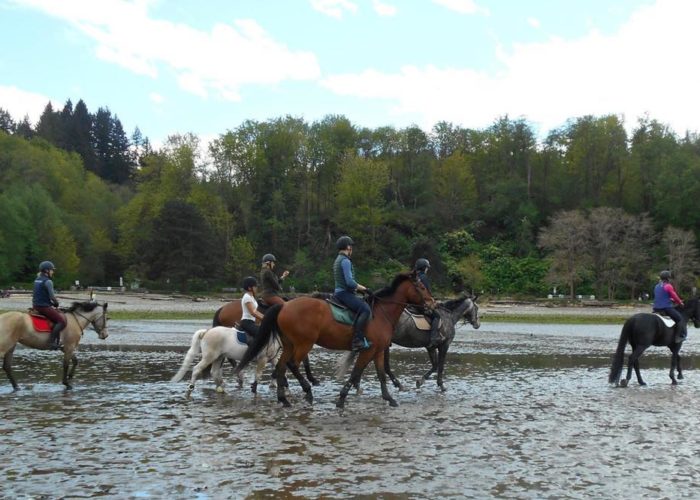 Trail rides